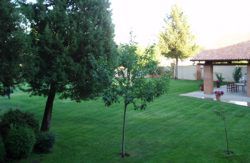 se admiten mascotas perros en Hotel Las Moreras*** Azadinos León 3